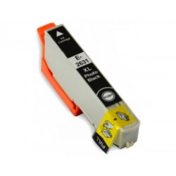 Epson 26XL Photo Black High Capacity Ink Cartridge  T2631 